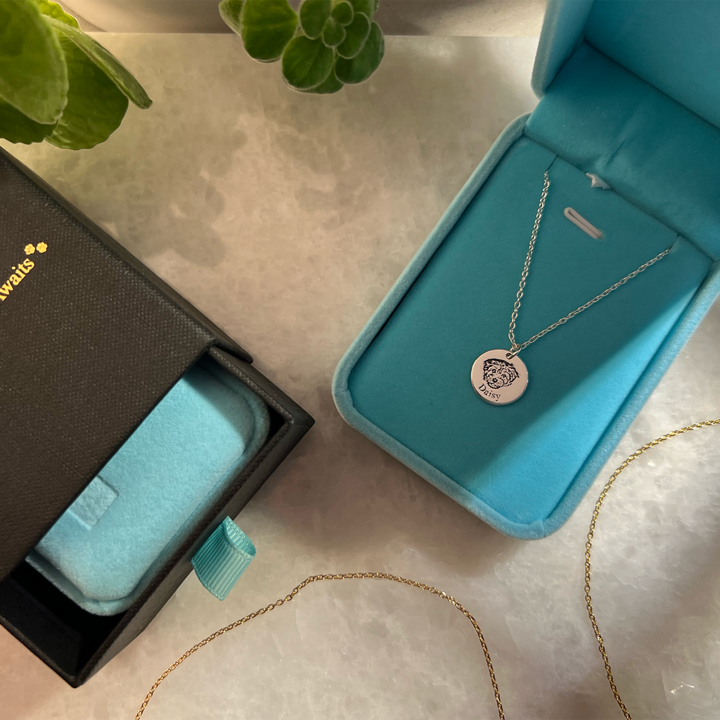 Colar Personalizado Pet Eterno