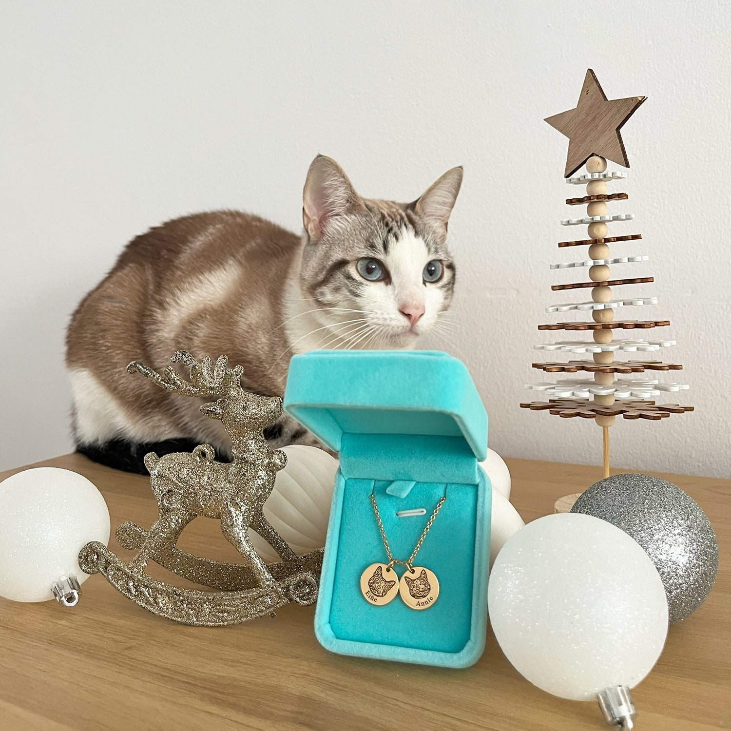 Colar Personalizado Pet Eterno